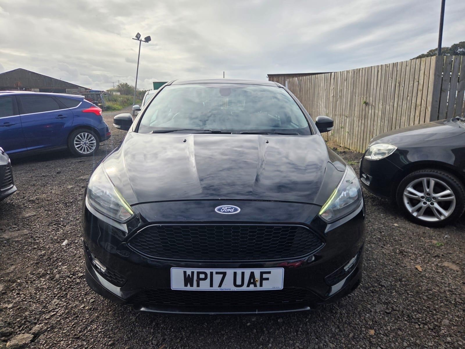 [ berth ]Ford Focus