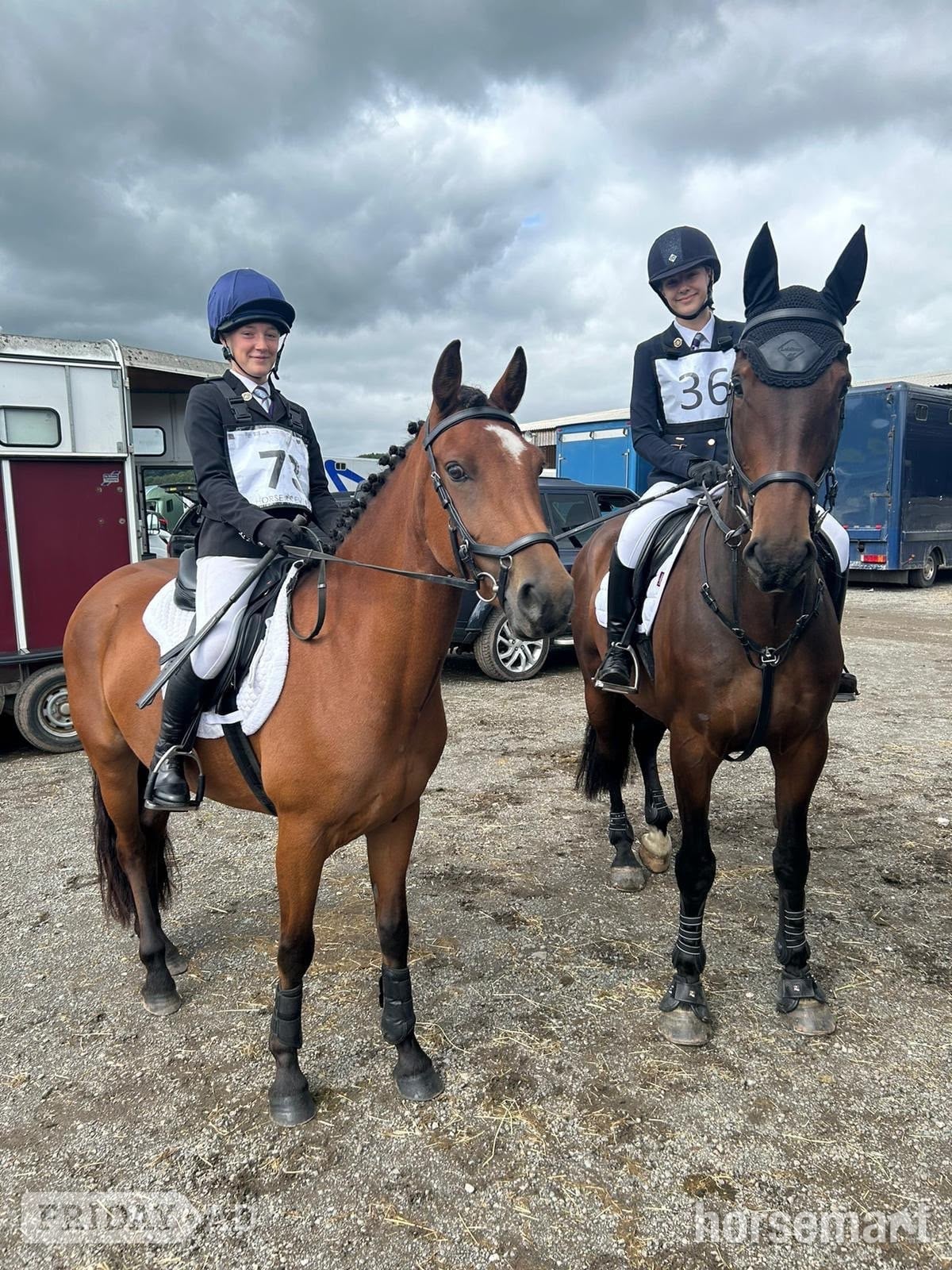 "Lily’s Lady " Bay Mare All Rounder