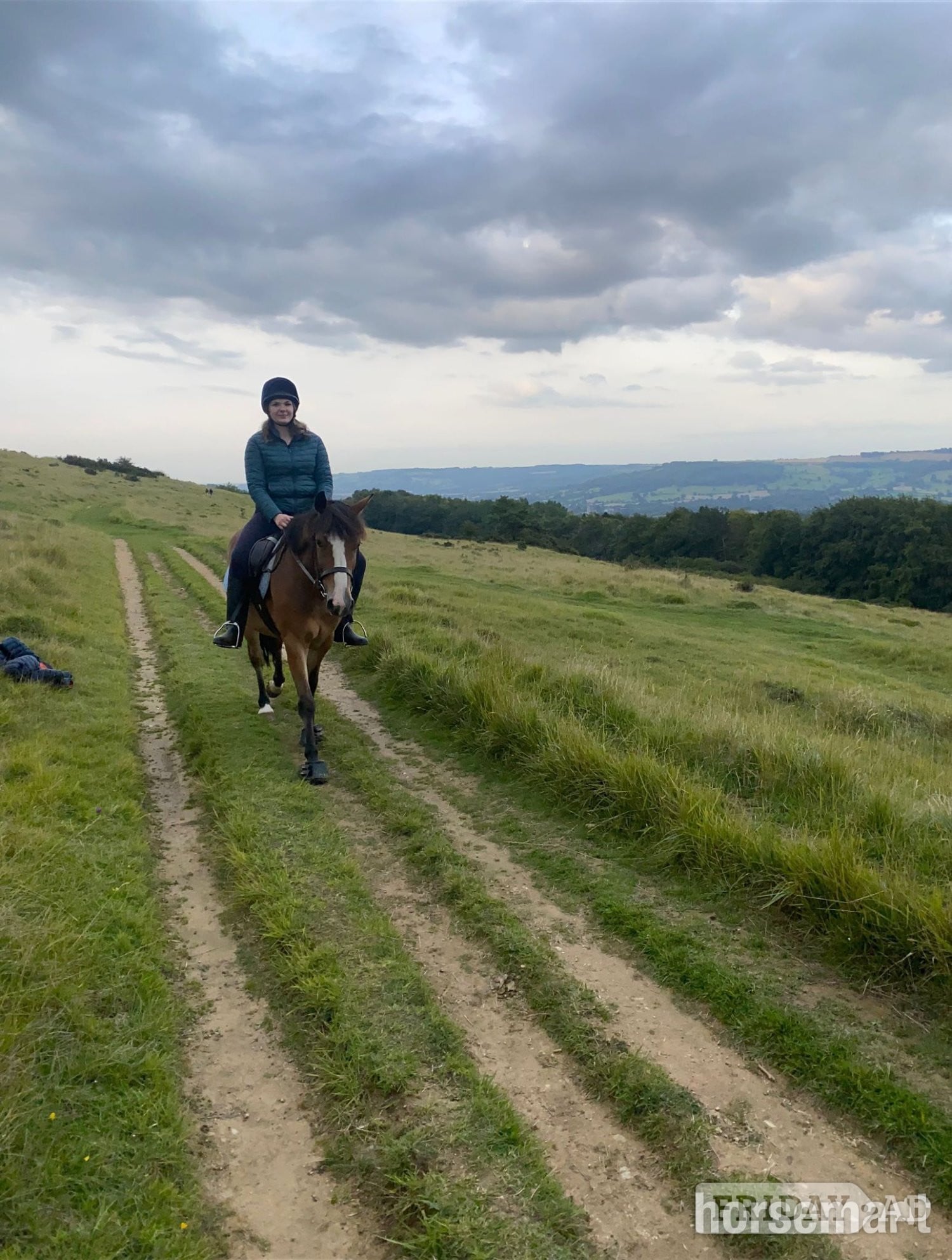 14.1 hh gelding 11 yo, free loan, or lwvtb in Winchcombe