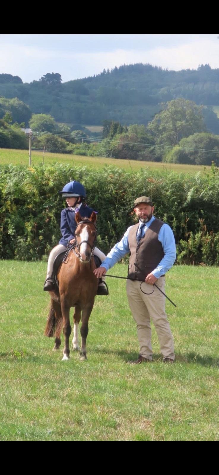 "Tiger" Liver Chestnut Gelding Lead Rein/First Ridden Pony
