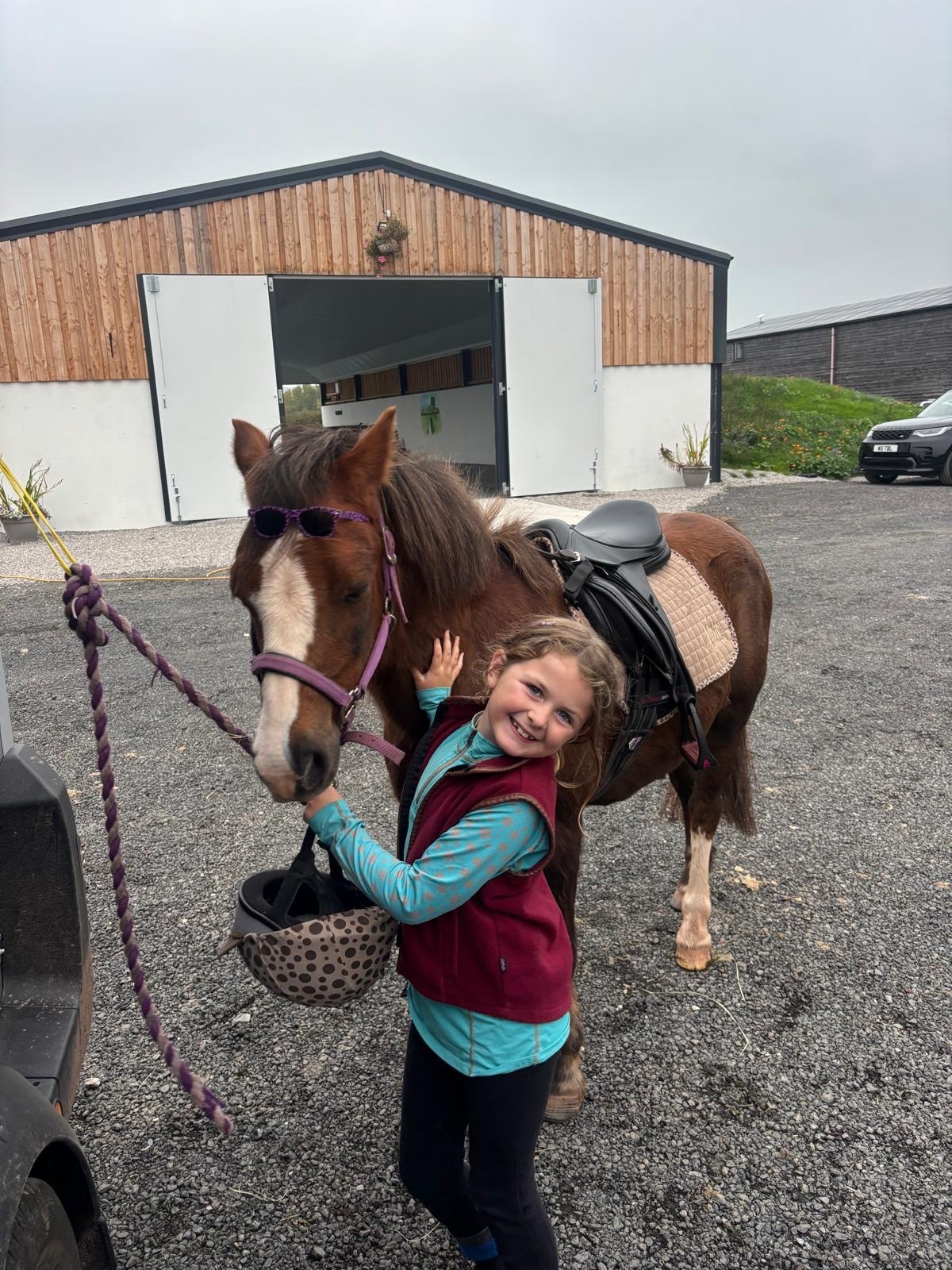"Tiger" Liver Chestnut Gelding Lead Rein/First Ridden Pony - Horses
