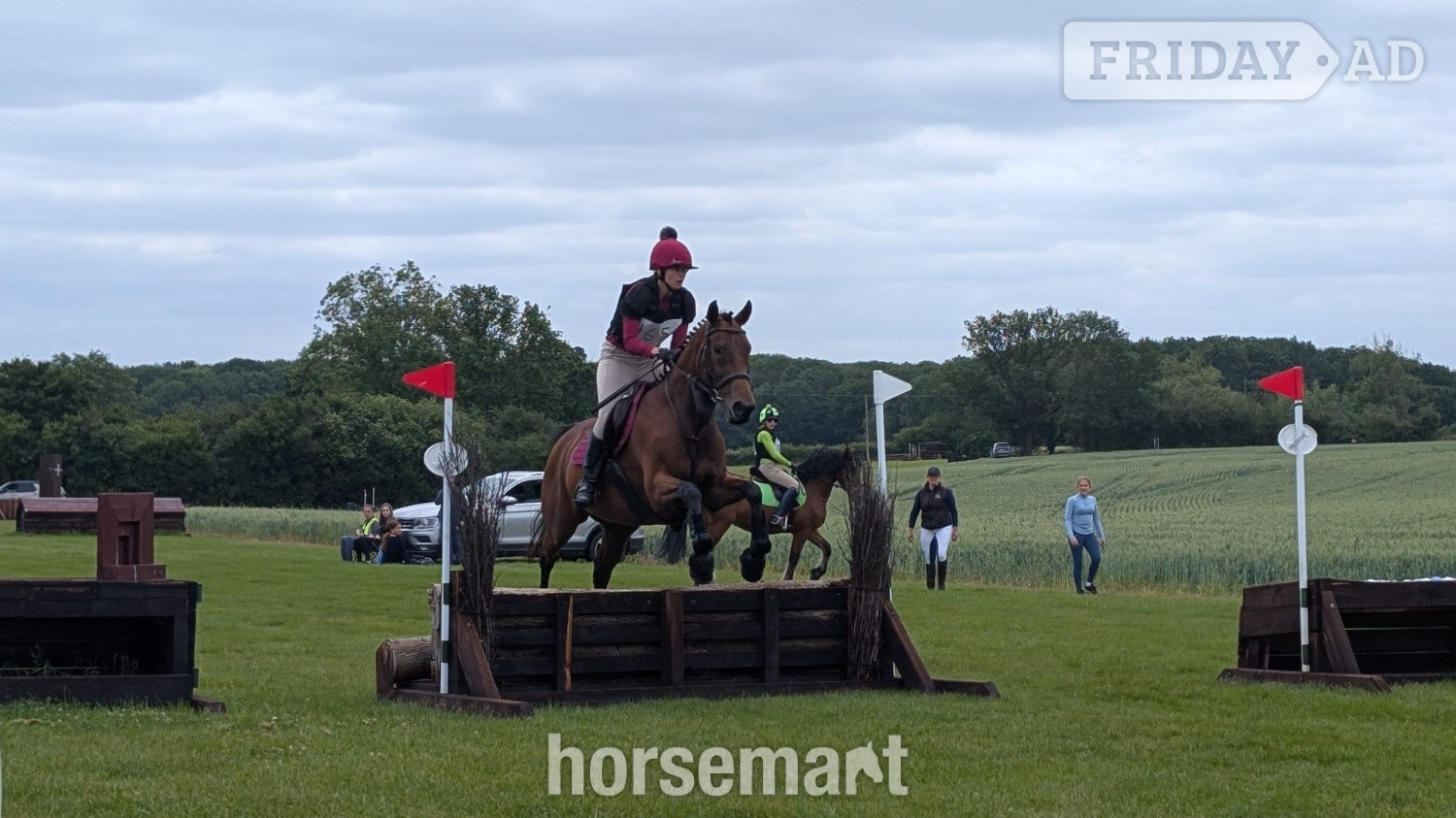 Bishop's Stortford "Kira" Bay Mare All Rounder