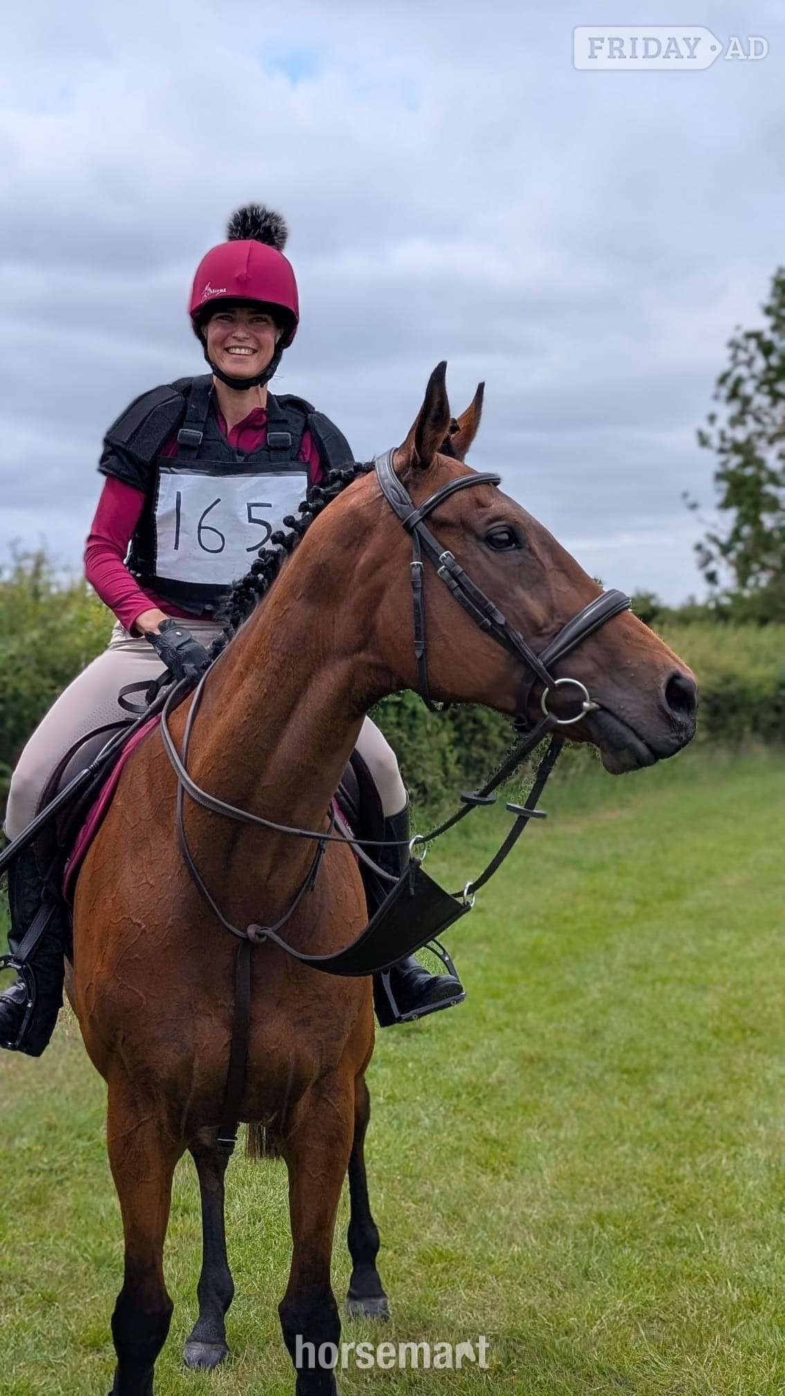 "Kira" Bay Mare All Rounder - Horses in Bishop's Stortford