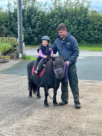 "Penny" Black Mare Family Horse