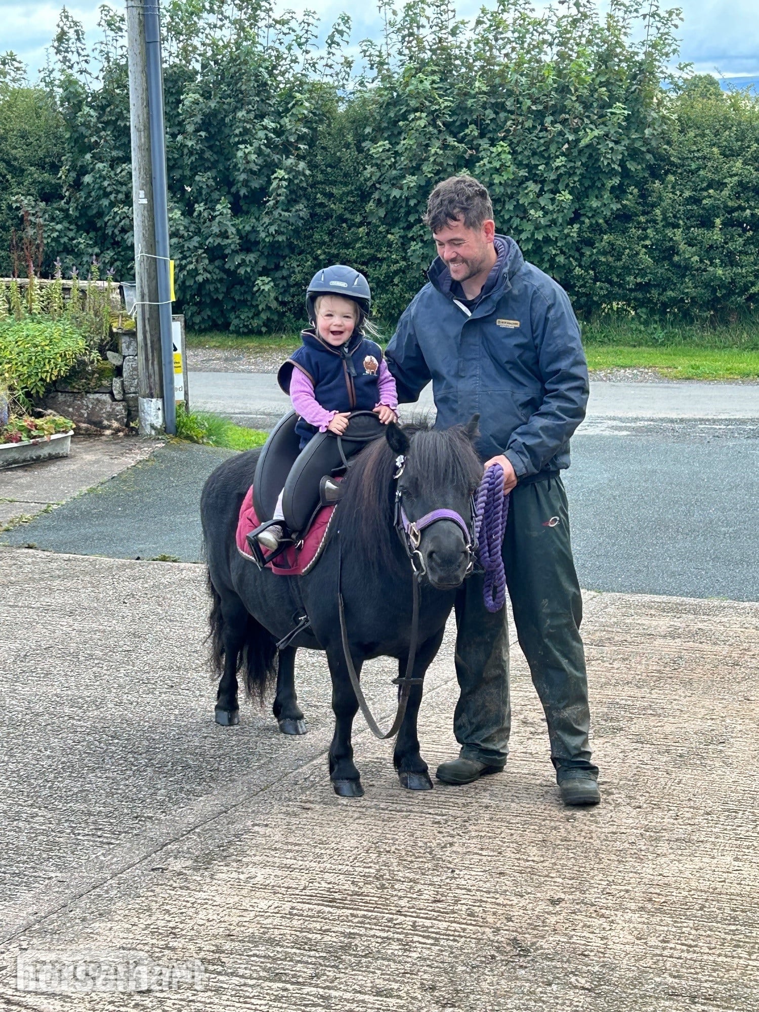 "Penny" Black Mare Family Horse in Penrith