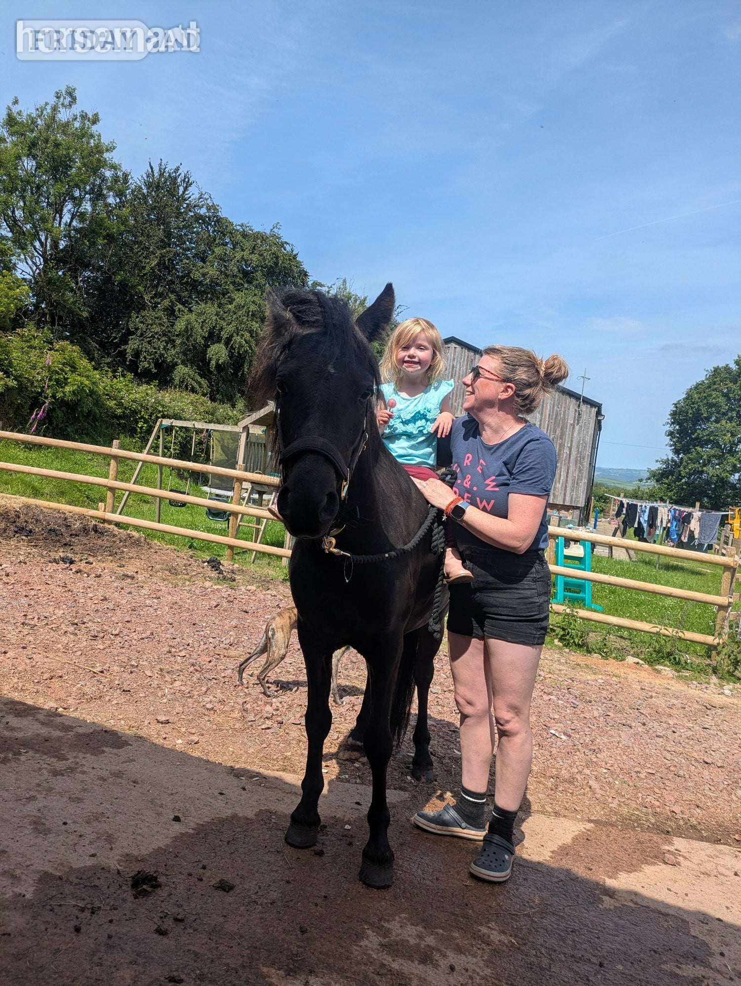 "River " Black Gelding Youngstock / Foal in Tiverton