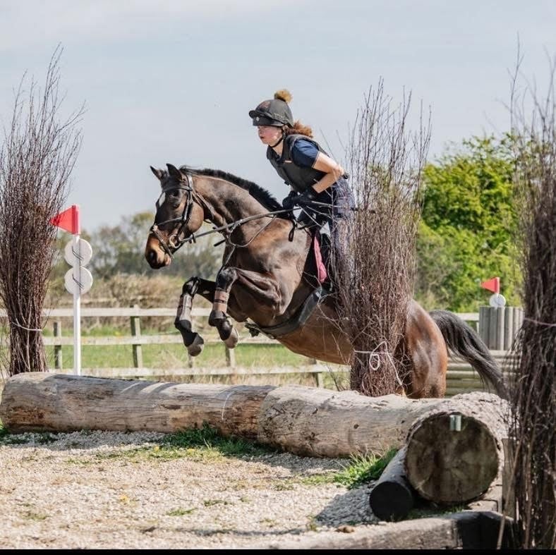 Corby "Sienna" Bay Mare Ex Racehorse