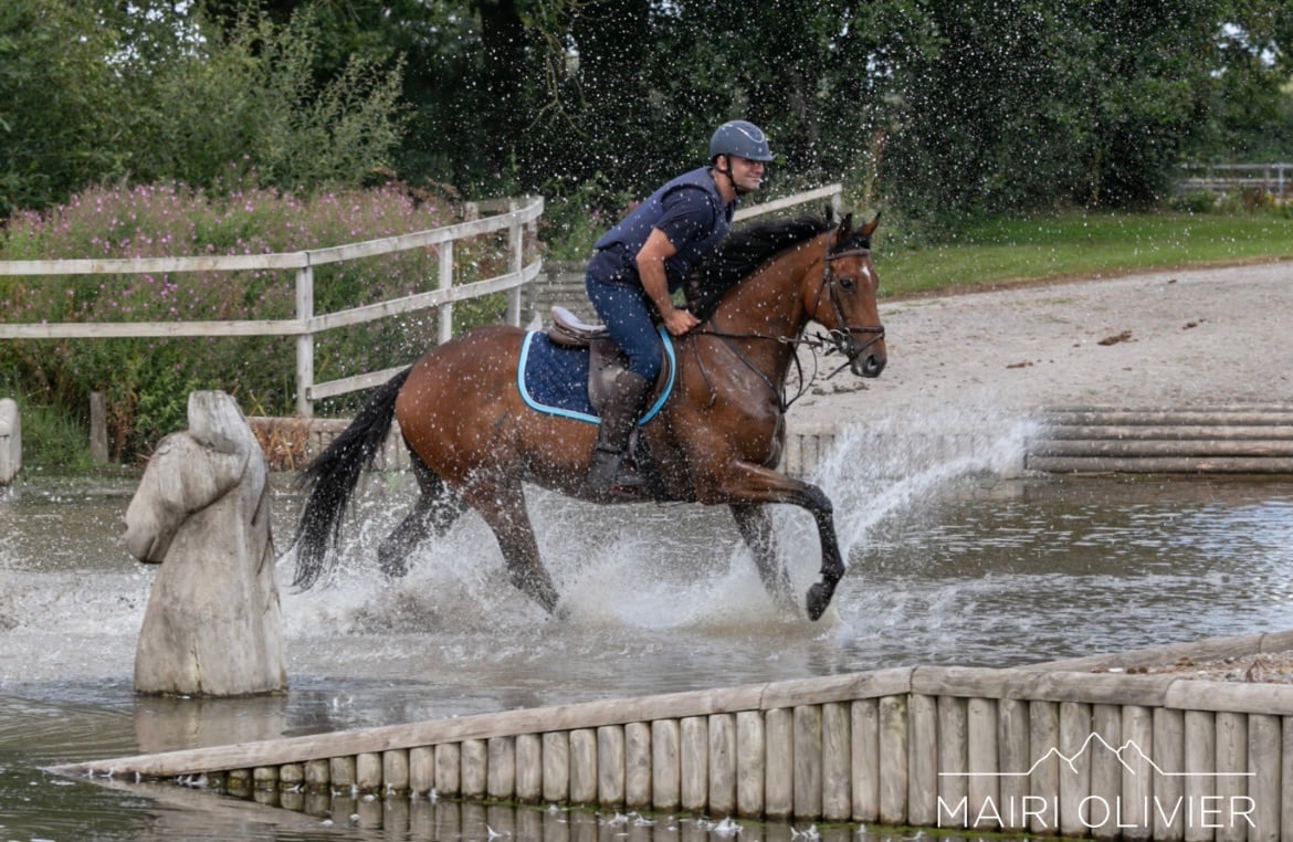 "Louie" Bright Bay Gelding Happy Hacker