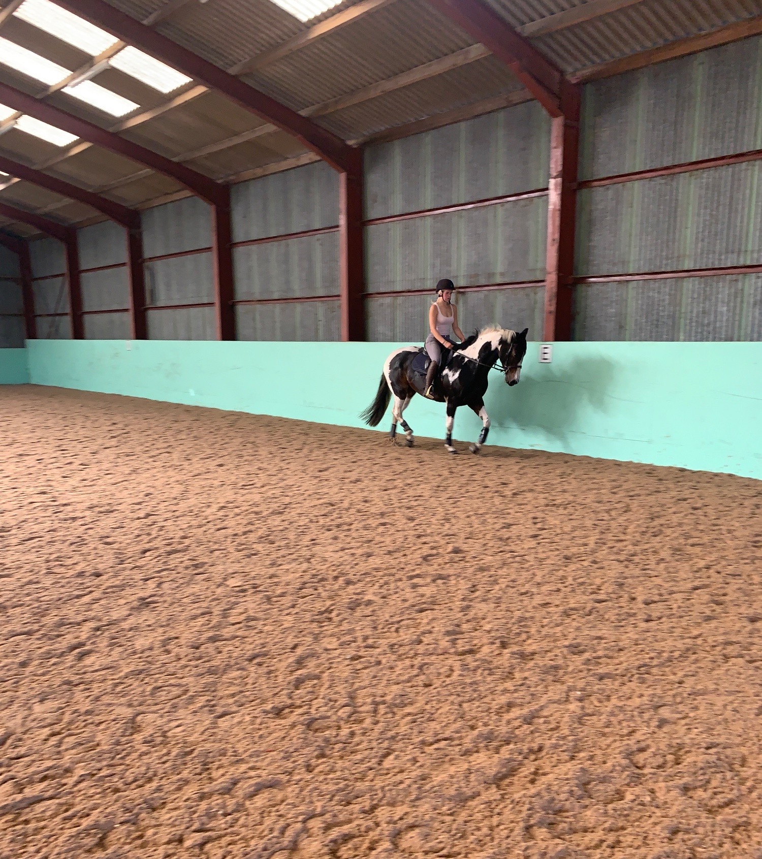 "BRINETON GIRL TALK" Coloured Mare All Rounder