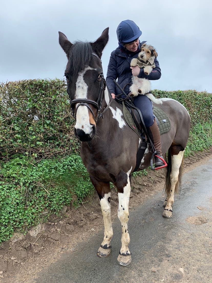 St Asaph "BRINETON GIRL TALK" Coloured Mare All Rounder