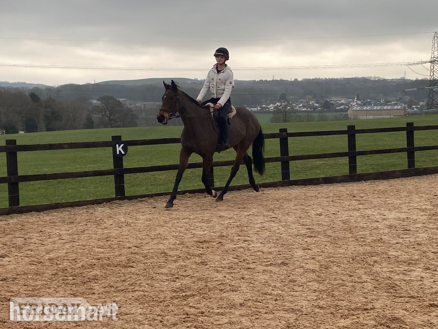 Blackburn "Ava" Bay Mare All Rounder