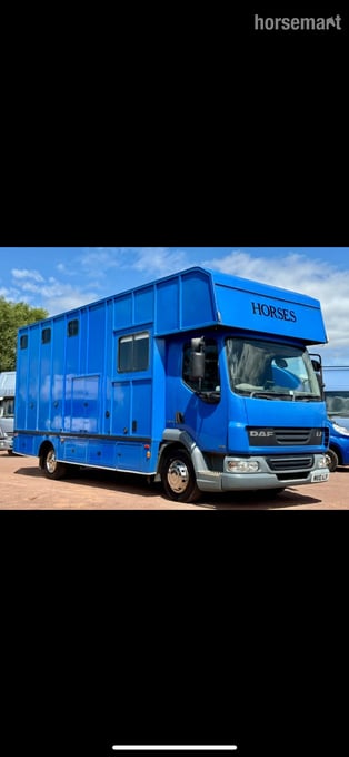 Other  Daf Trucks Horsebox