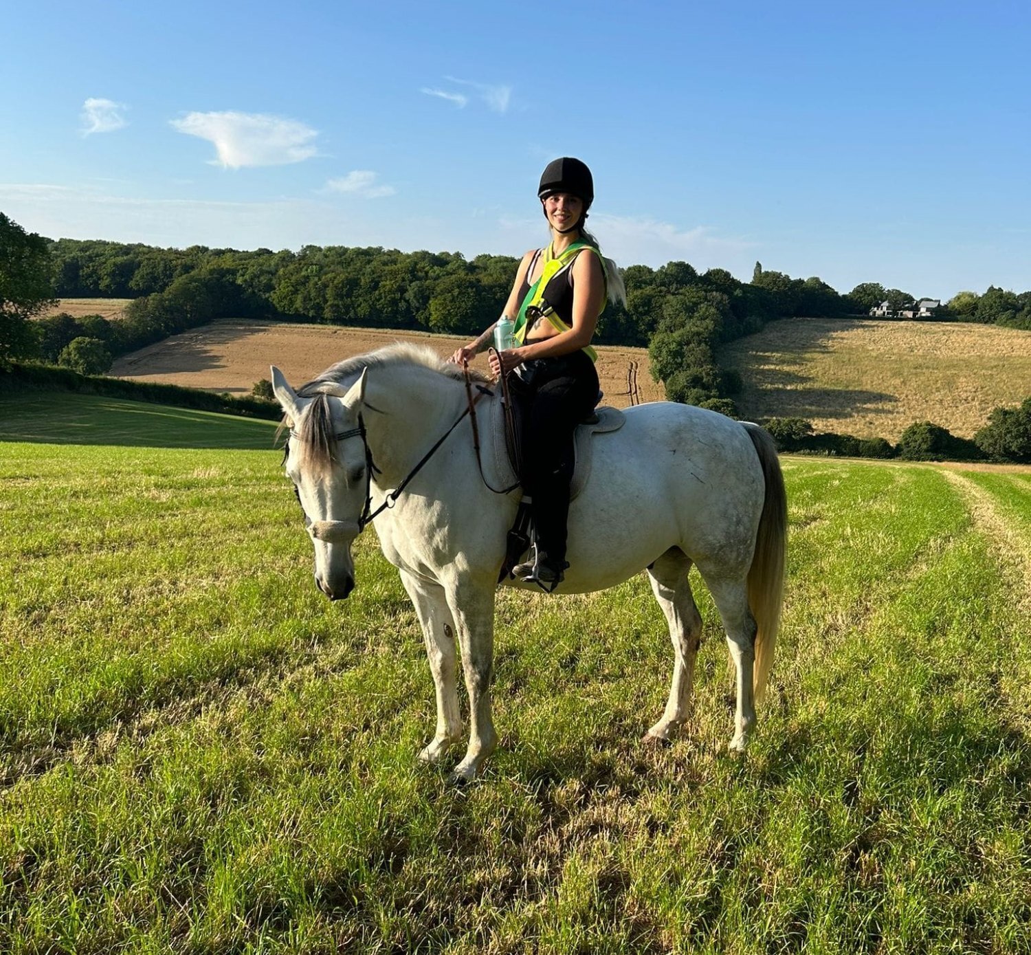 "Mafi" Grey Gelding All Rounder