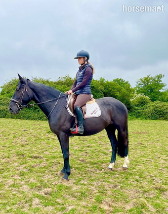 "Echo" Black Mare All Rounder