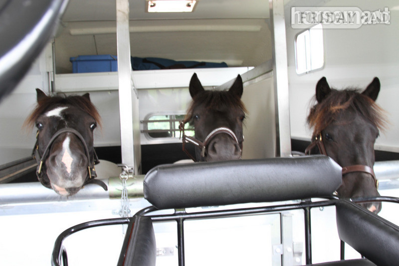 Marlborough Carriage Box  Horsebox - Trailers & Horseboxes