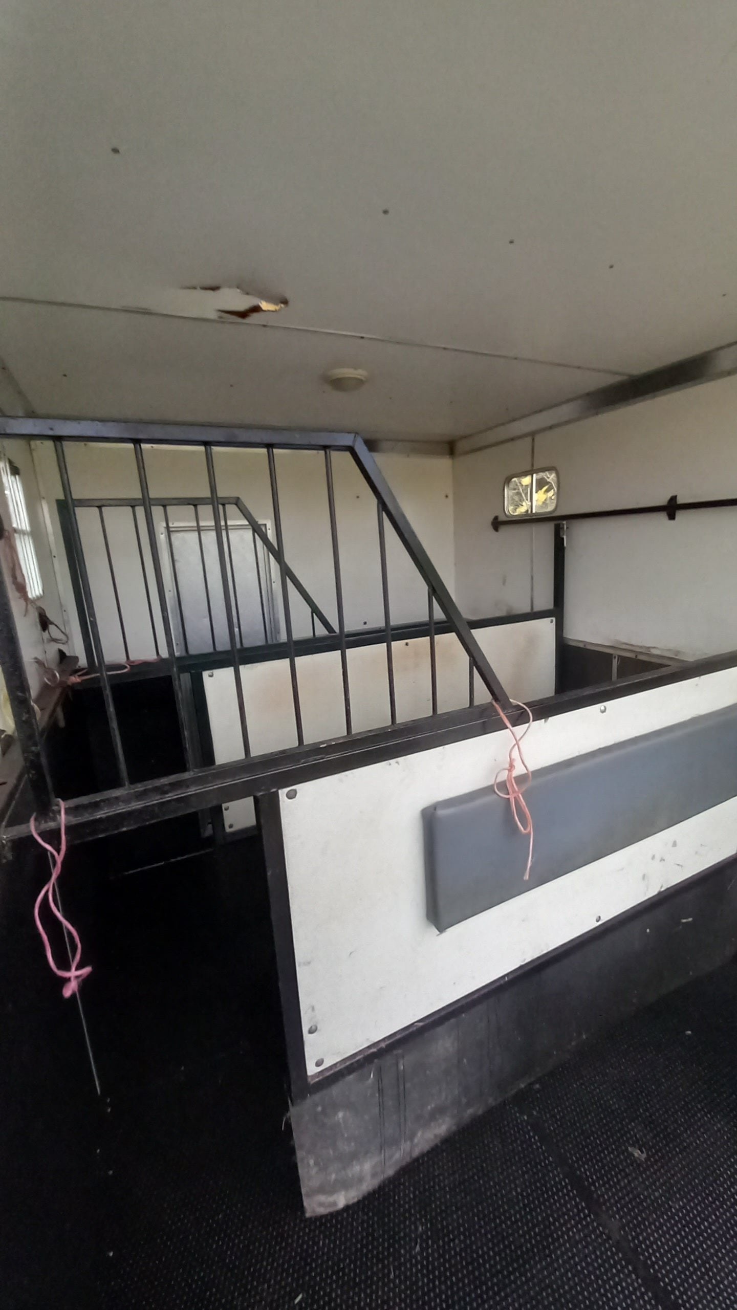 Horseboxseller  Iveco-ford Horsebox - Trailers & Horseboxes in Oakhanger