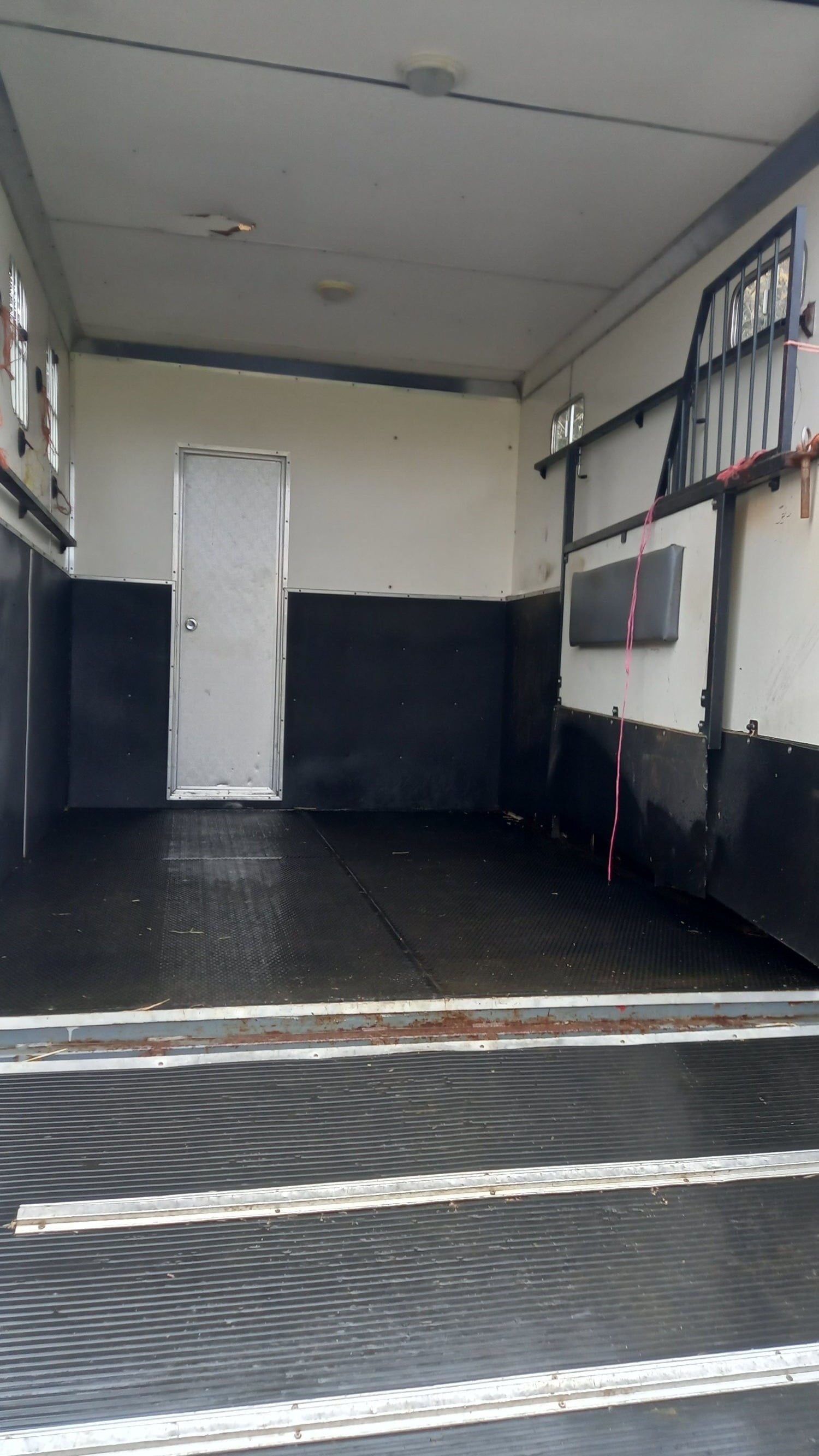 Horseboxseller  Iveco-ford Horsebox - Trailers & Horseboxes