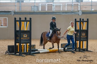 "Little Jim " Bay Gelding Lead Rein/First Ridden Pony