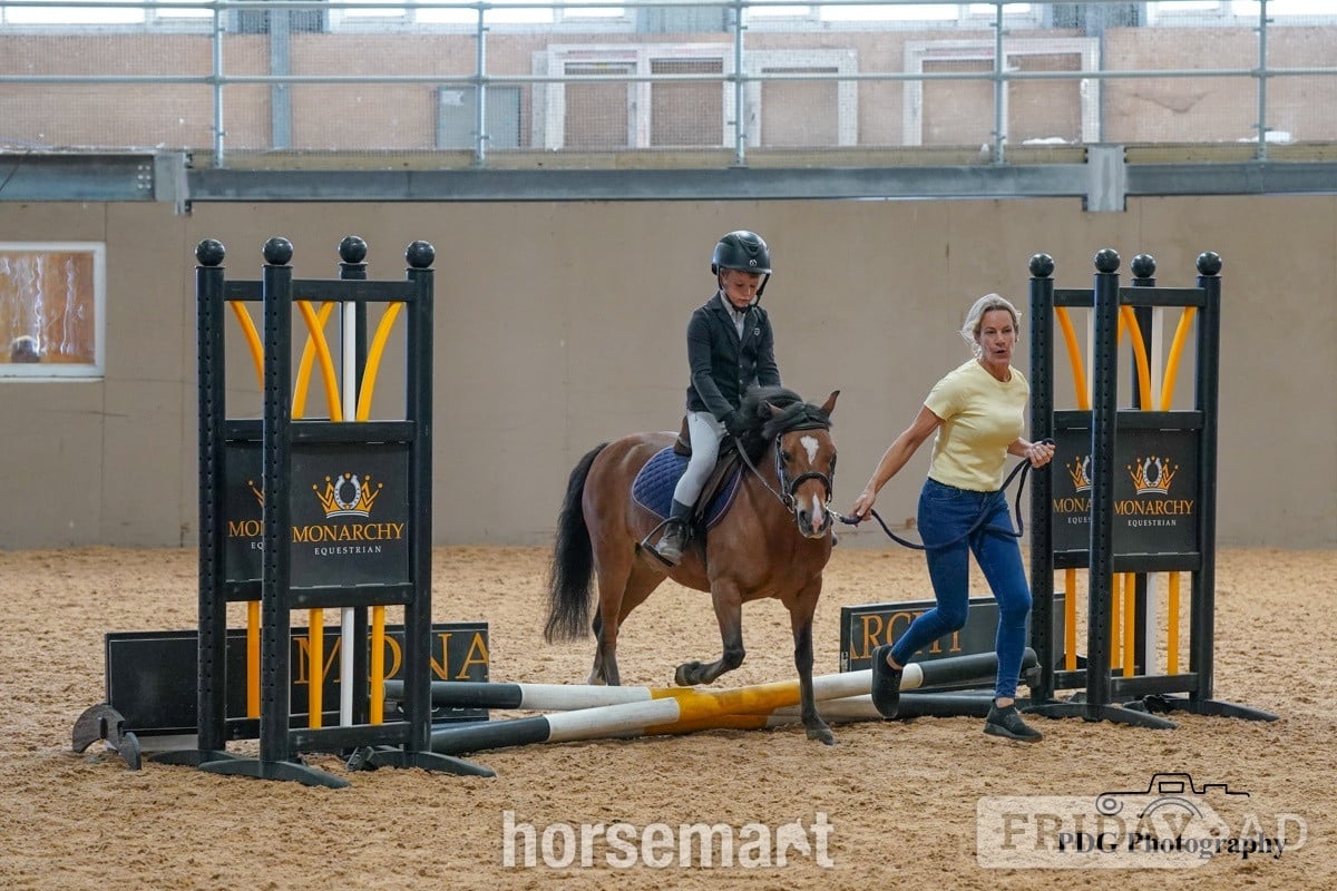 "Little Jim " Bay Gelding Lead Rein/First Ridden Pony in Kent Street