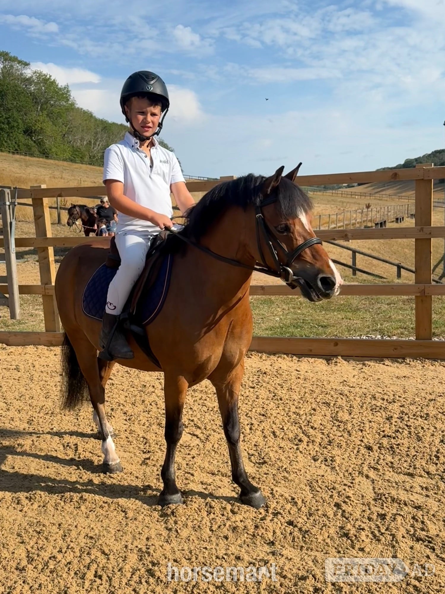 Kent Street "Little Jim " Bay Gelding Lead Rein/First Ridden Pony