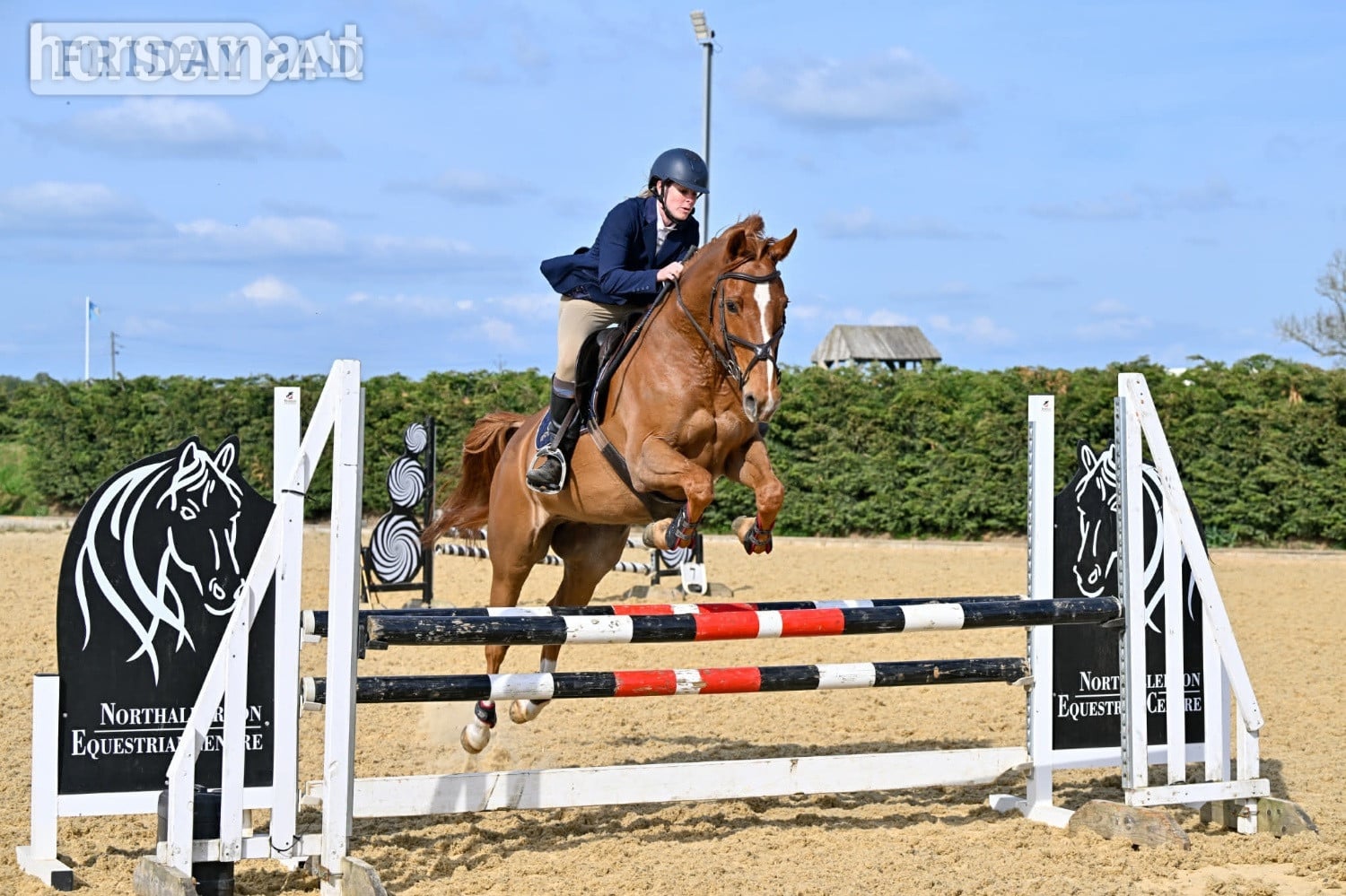 "GLS Prince Bishop" Chestnut Gelding Eventer - Horses in Great Stainton