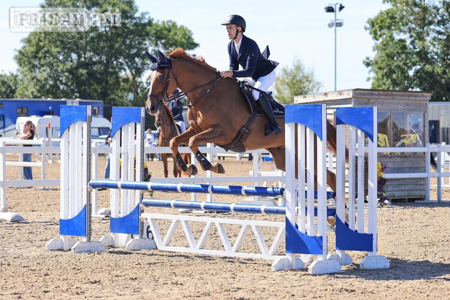 "GLS Prince Bishop" Chestnut Gelding Eventer - Horses