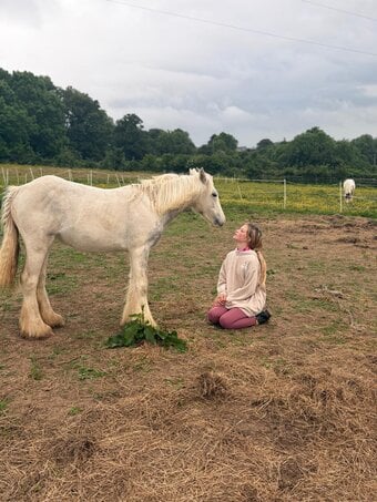 "Blue Willow" Blue &amp; White Filly Youngstock / Foal