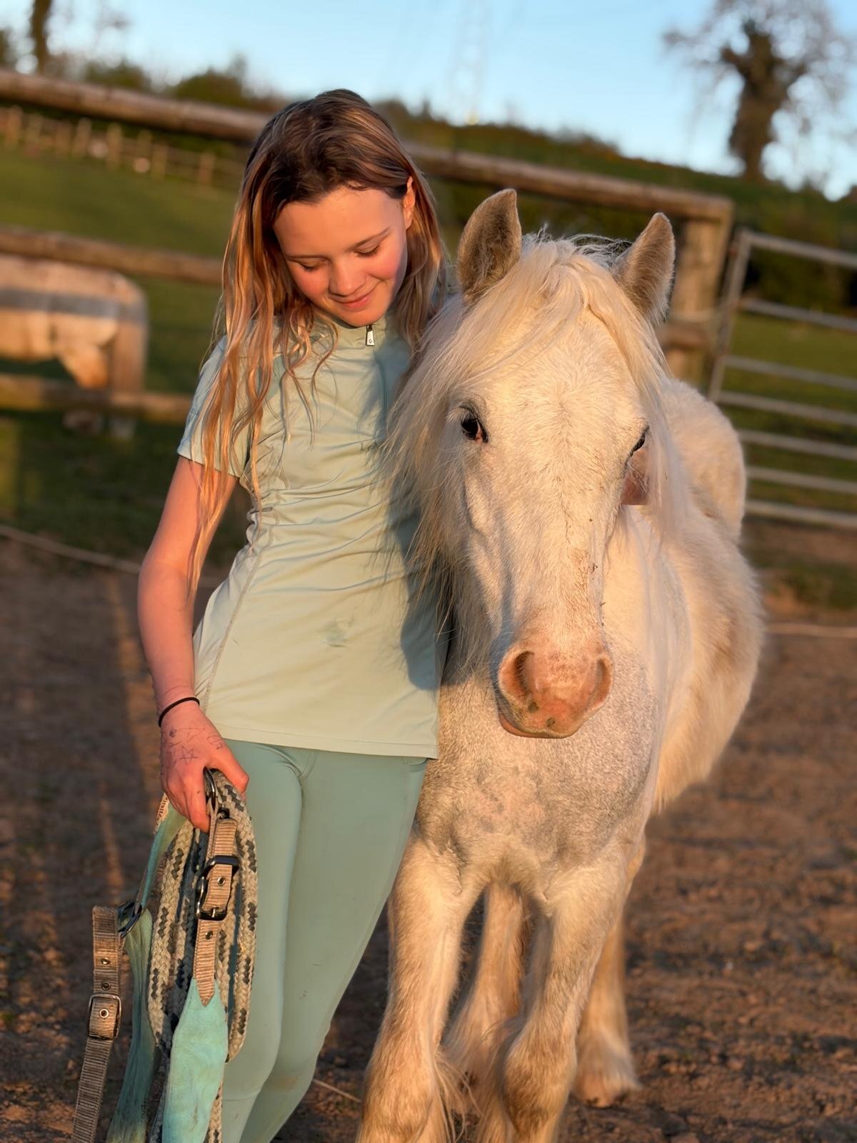 "Blue Willow" Blue &amp; White Filly Youngstock / Foal