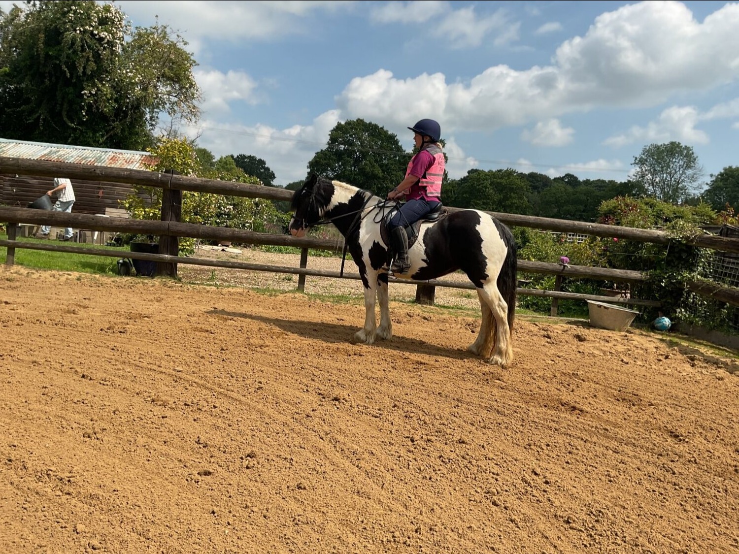 "Wilkismoor Serenity (Senna)" Piebald Mare Cob/Heavy Horse