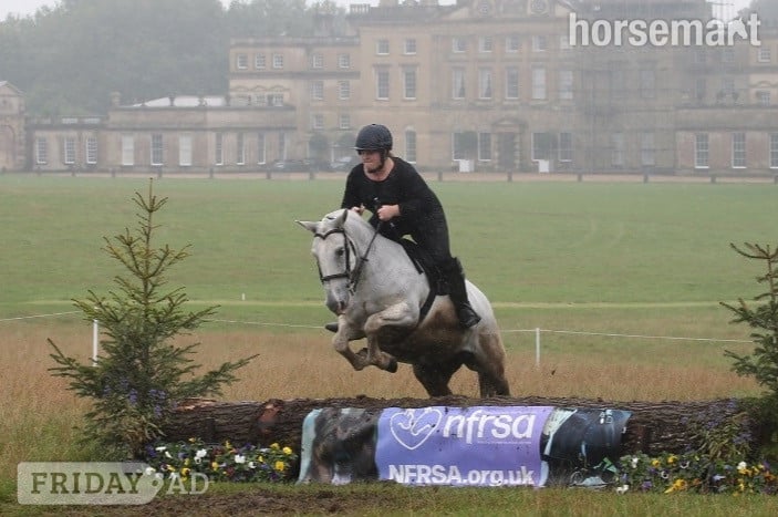 "Perry" Grey Mare All Rounder