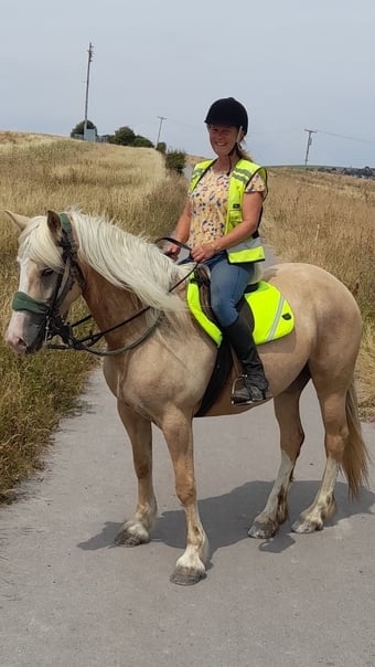 "Jenister Savannah" Palomino Mare All Rounder