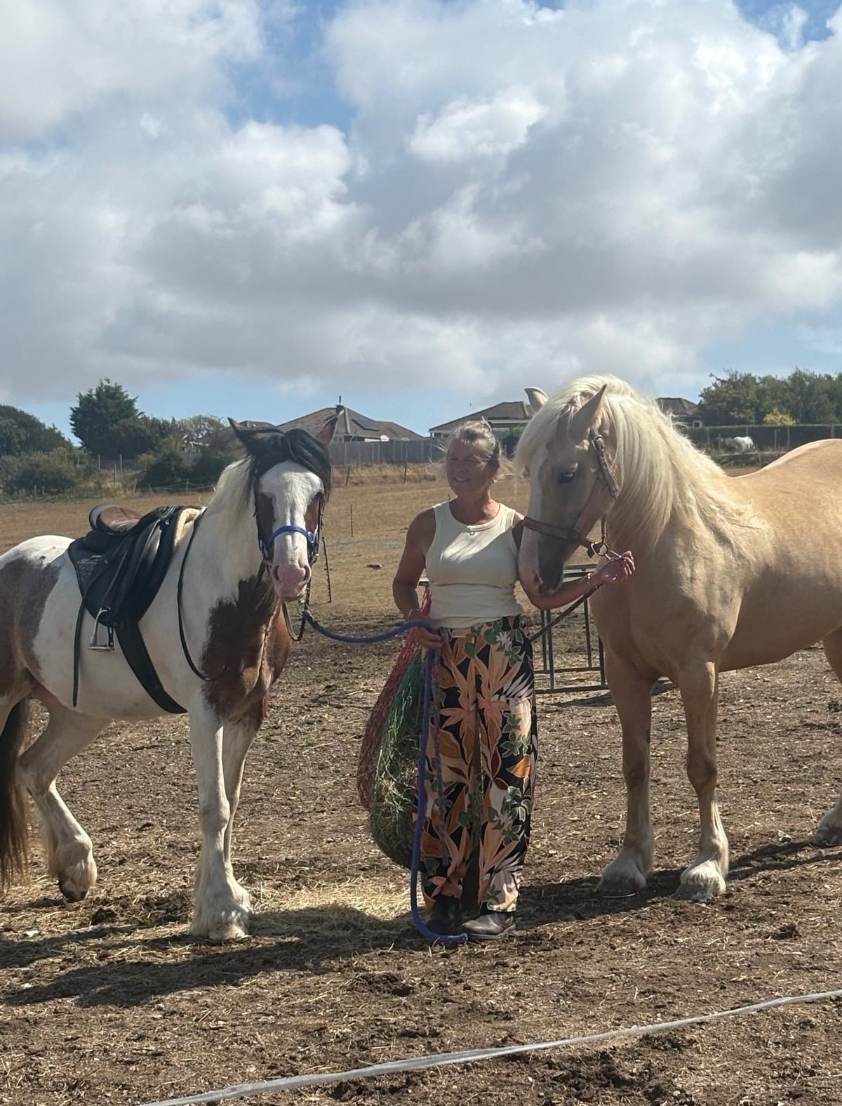 "Jenister Savannah" Palomino Mare All Rounder - Horses