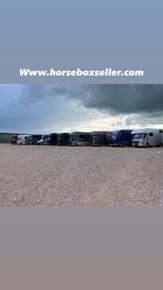 [ berth ]HORSEBOXES WANTED 