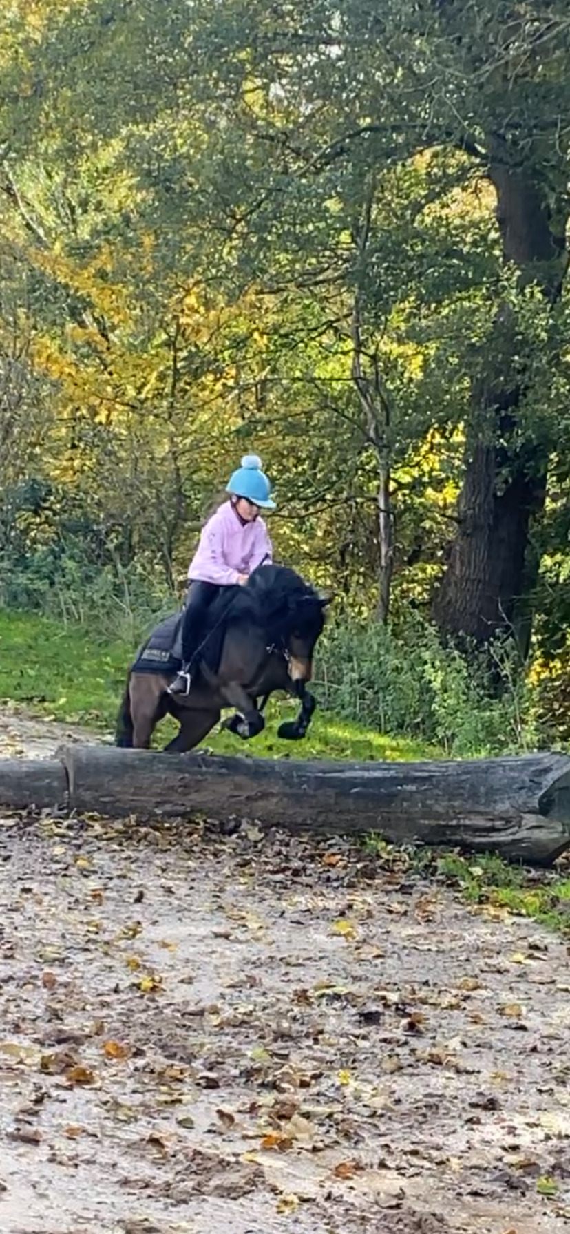 "Cayberry coco chanel" Bay Mare Lead Rein/First Ridden Pony - Horses