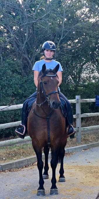 "Buckland Pandora up" Bay Mare All Rounder