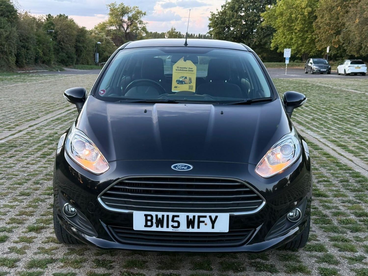 Ford Fiesta Swanley