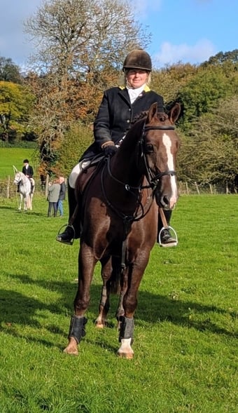 " Ajax Sparkle" Liver Chestnut Gelding All Rounder