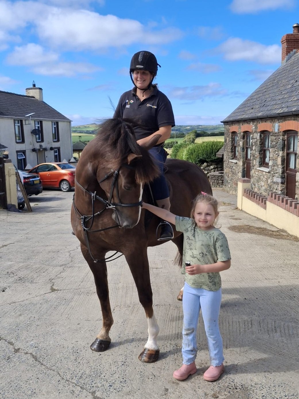 " Ajax Sparkle" Liver Chestnut Gelding All Rounder