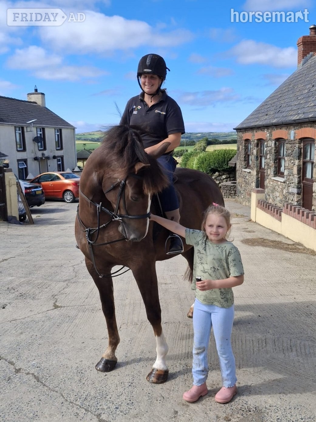 " Ajax Sparkle" Liver Chestnut Gelding All Rounder