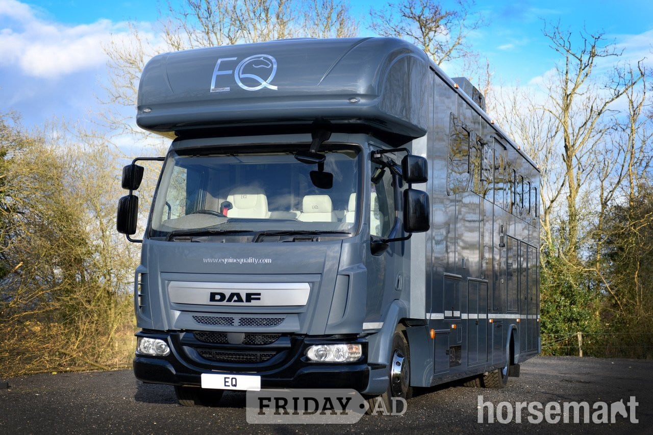 Equine Quality Luxury DAF Horsebox in Uckfield