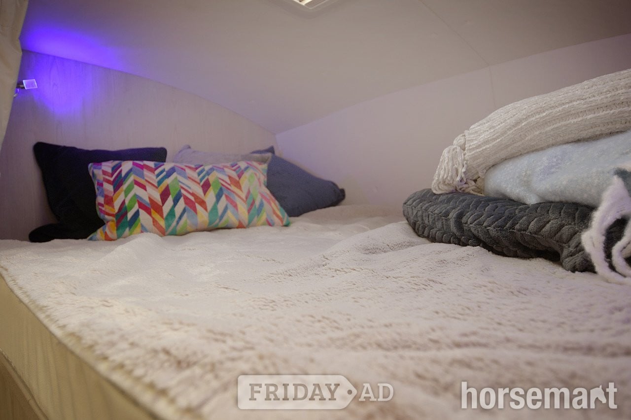 Equine Quality Luxury DAF Horsebox - Trailers & Horseboxes in Uckfield