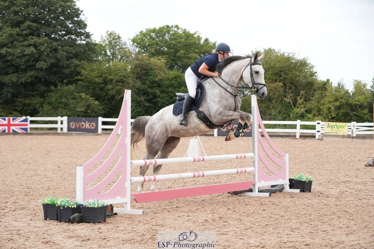 "Pepper" Grey Mare Show Jumper