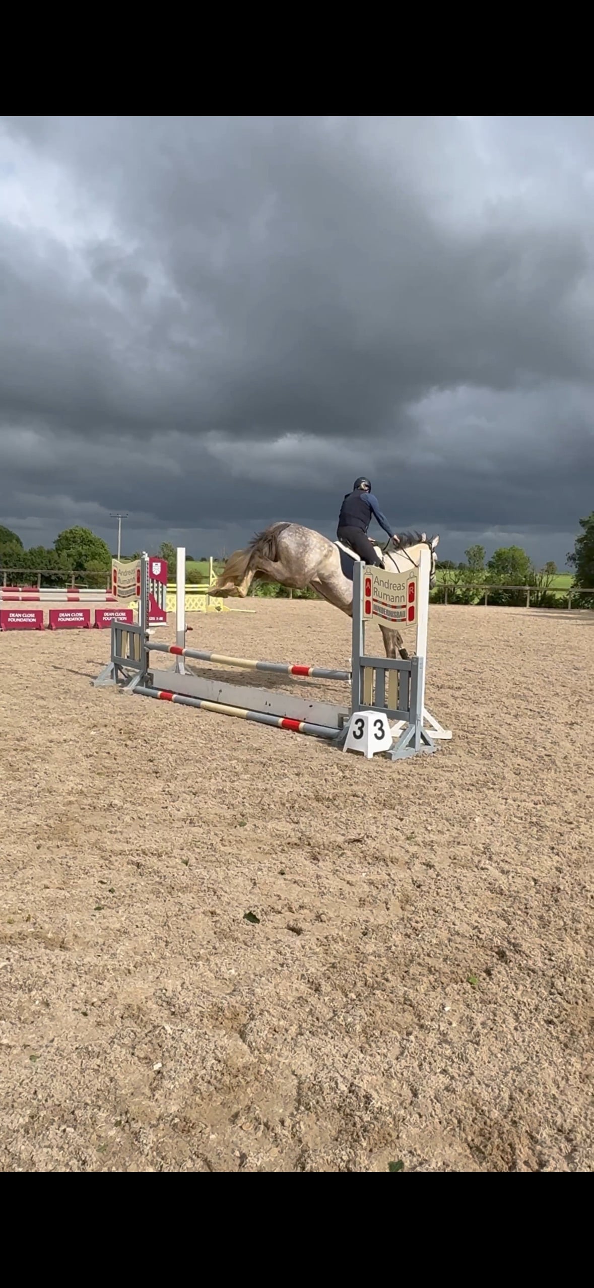 Swindon "Pepper" Grey Mare Show Jumper