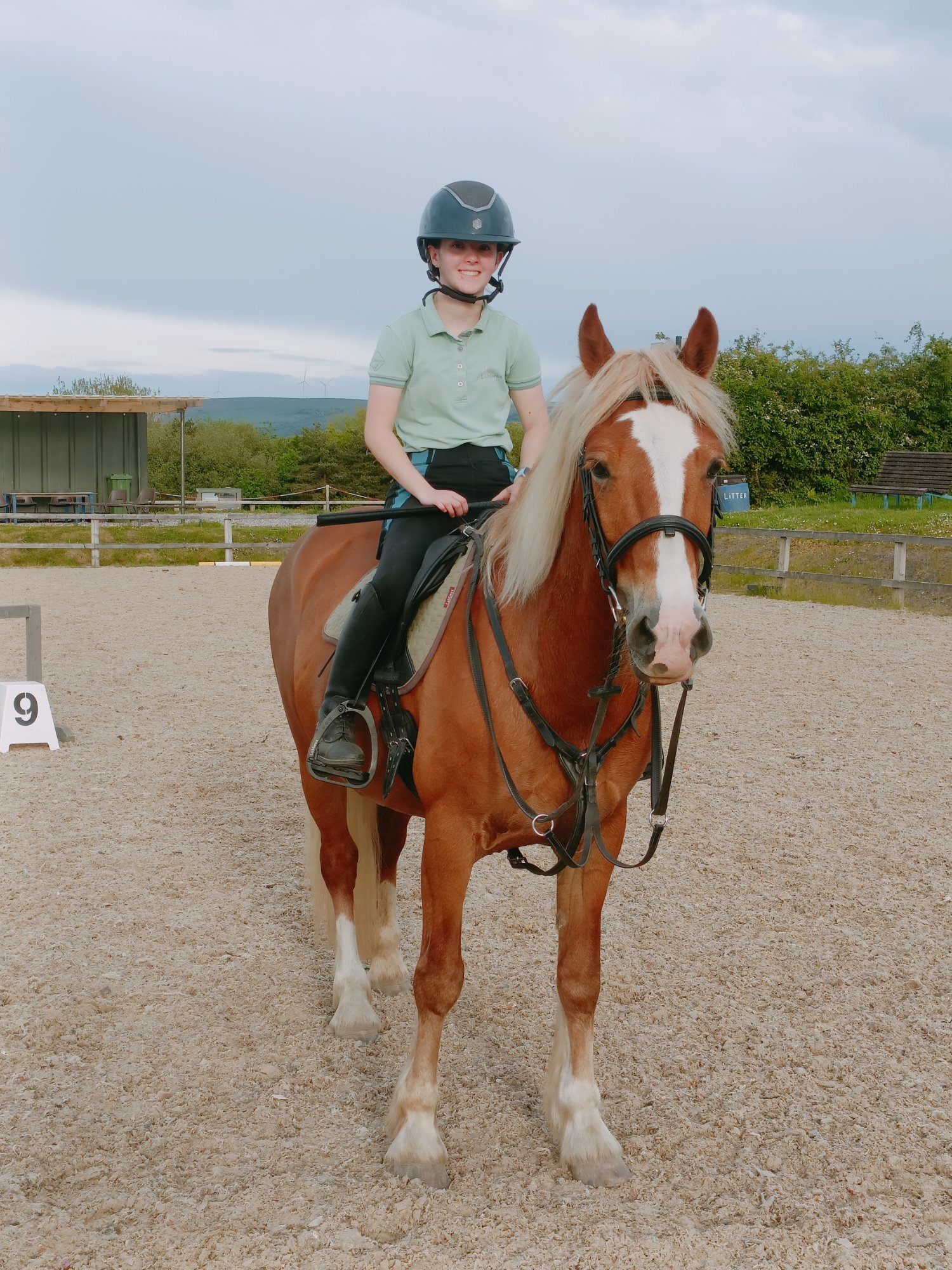 Ammanford "Willow " Chestnut Mare All Rounder