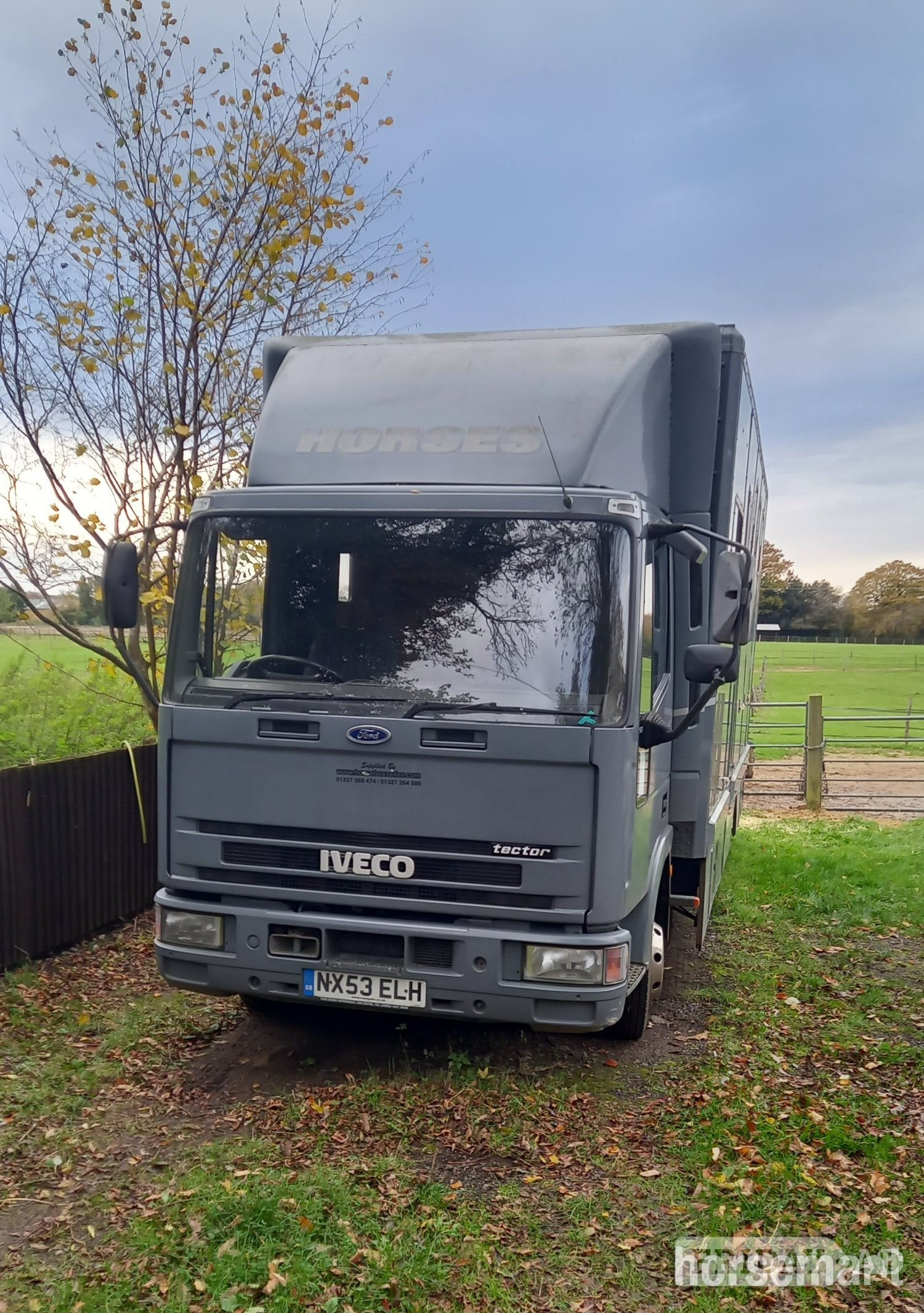 Horseboxseller  Iveco-ford Horsebox in Oakhanger