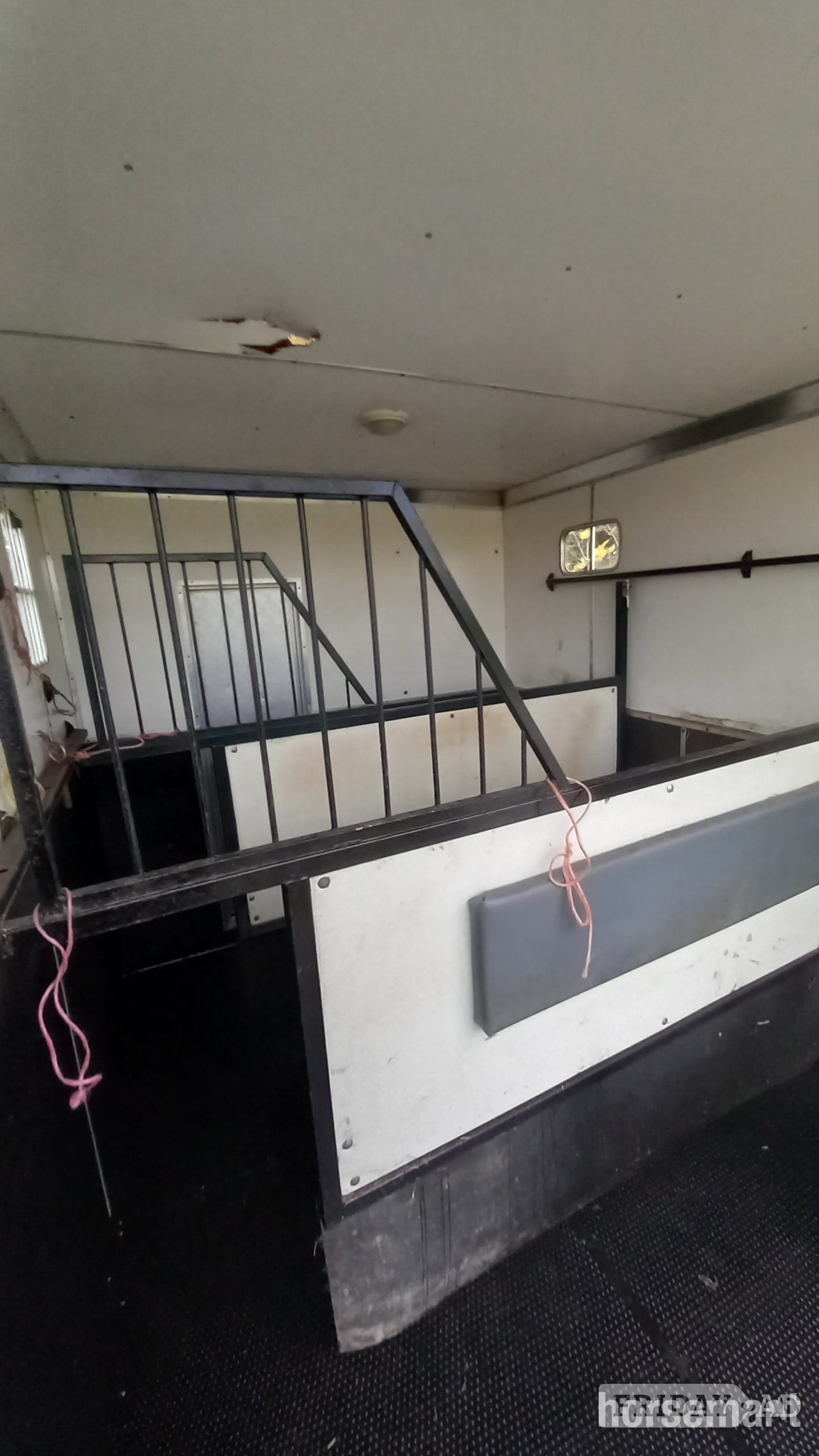 Horseboxseller  Iveco-ford Horsebox - Trailers & Horseboxes in Oakhanger