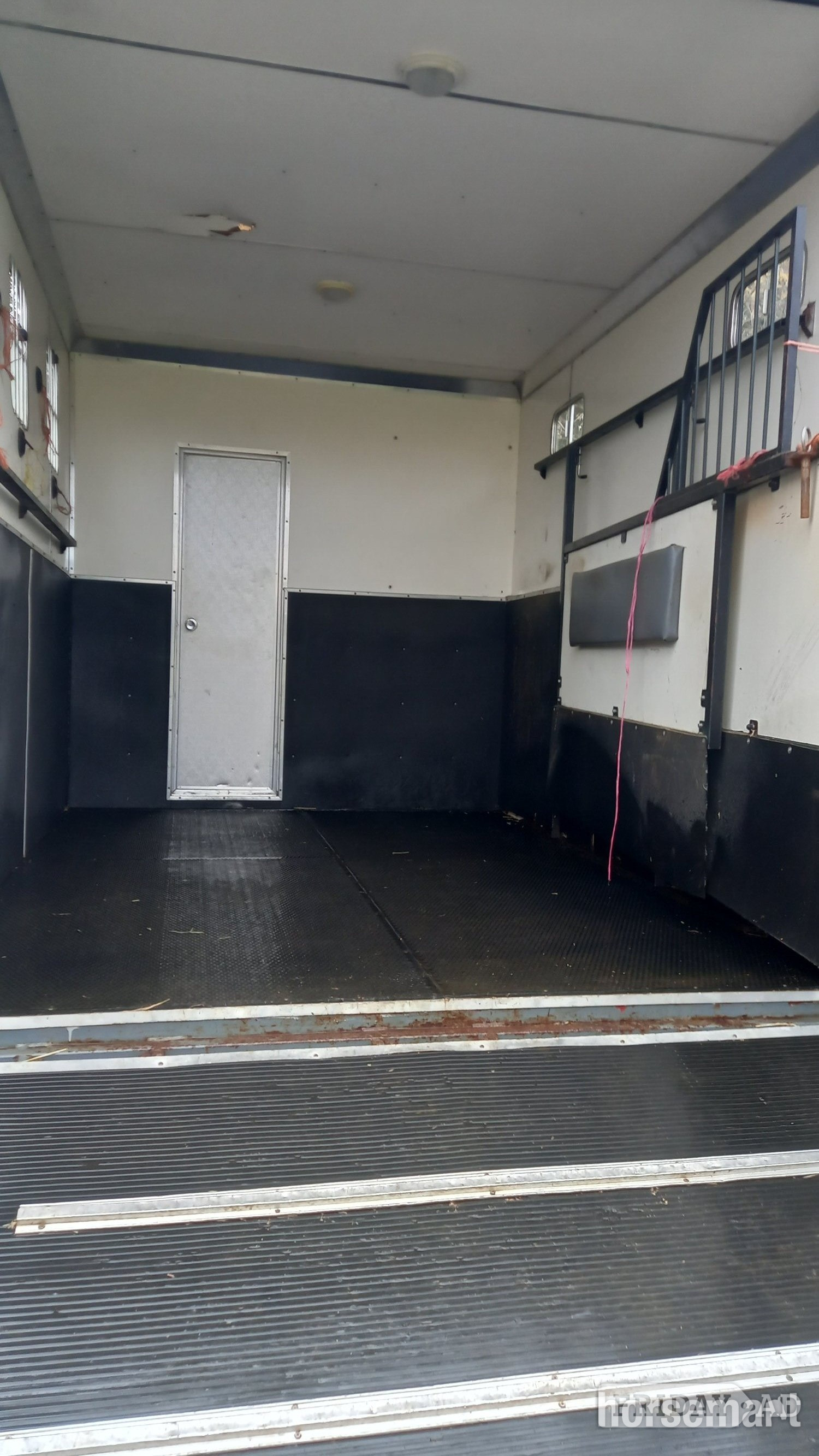 Horseboxseller  Iveco-ford Horsebox - Trailers & Horseboxes