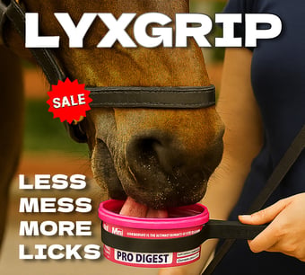 LyxGrip Mini Horslyx Holder - Mess-free treat dispensing