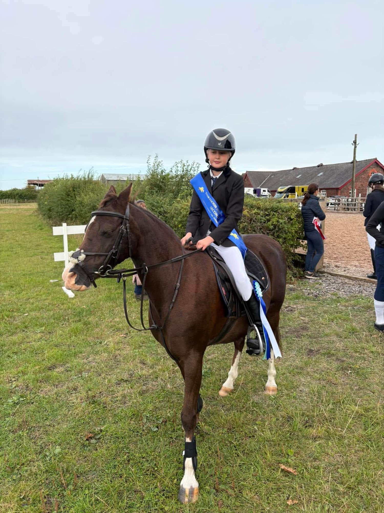 "Thisteldown Tunnel of Love" Liver Chestnut Mare All Rounder