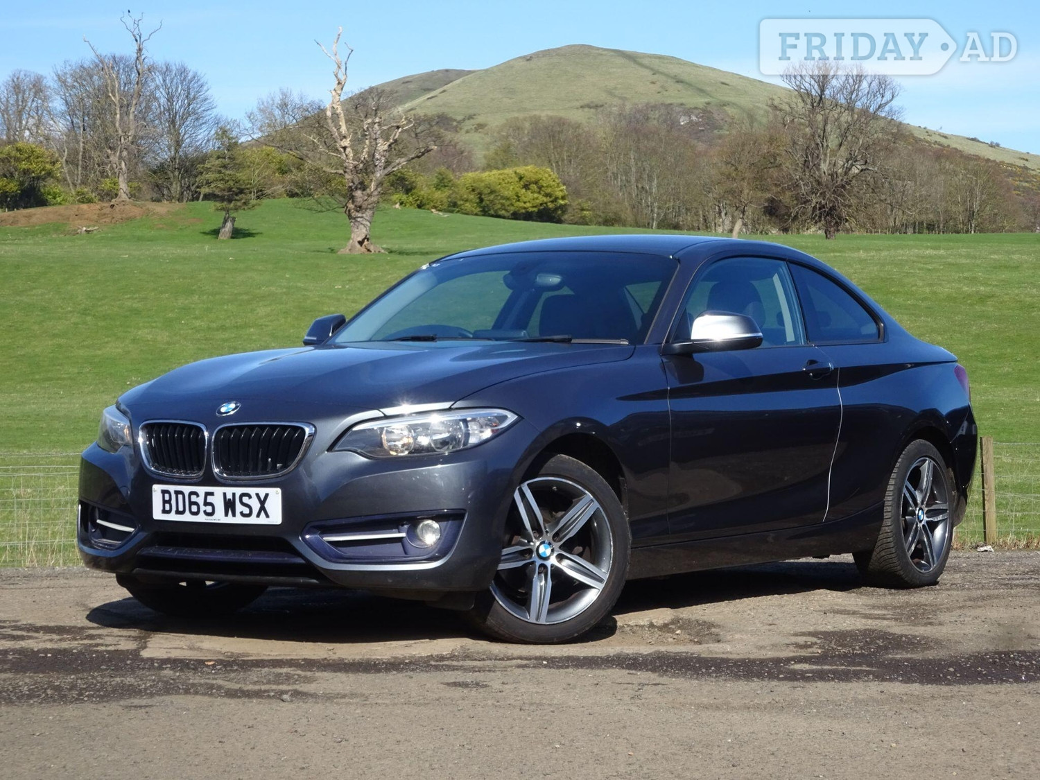 BMW 2 Series Leven